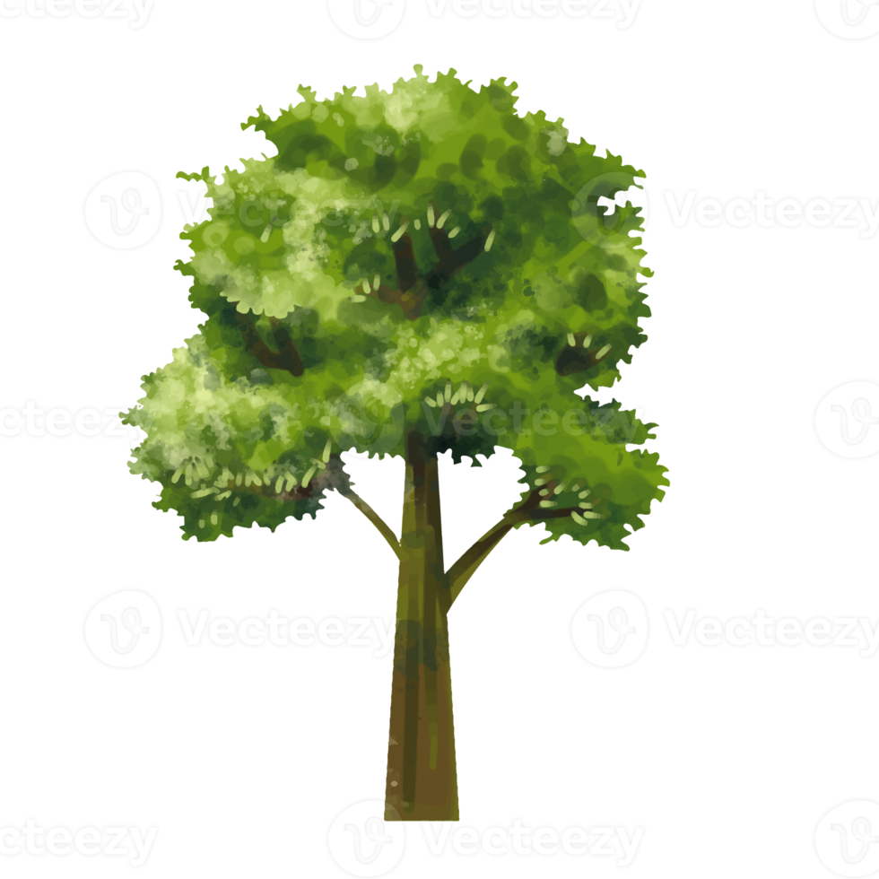 tree cartoon in painting style png