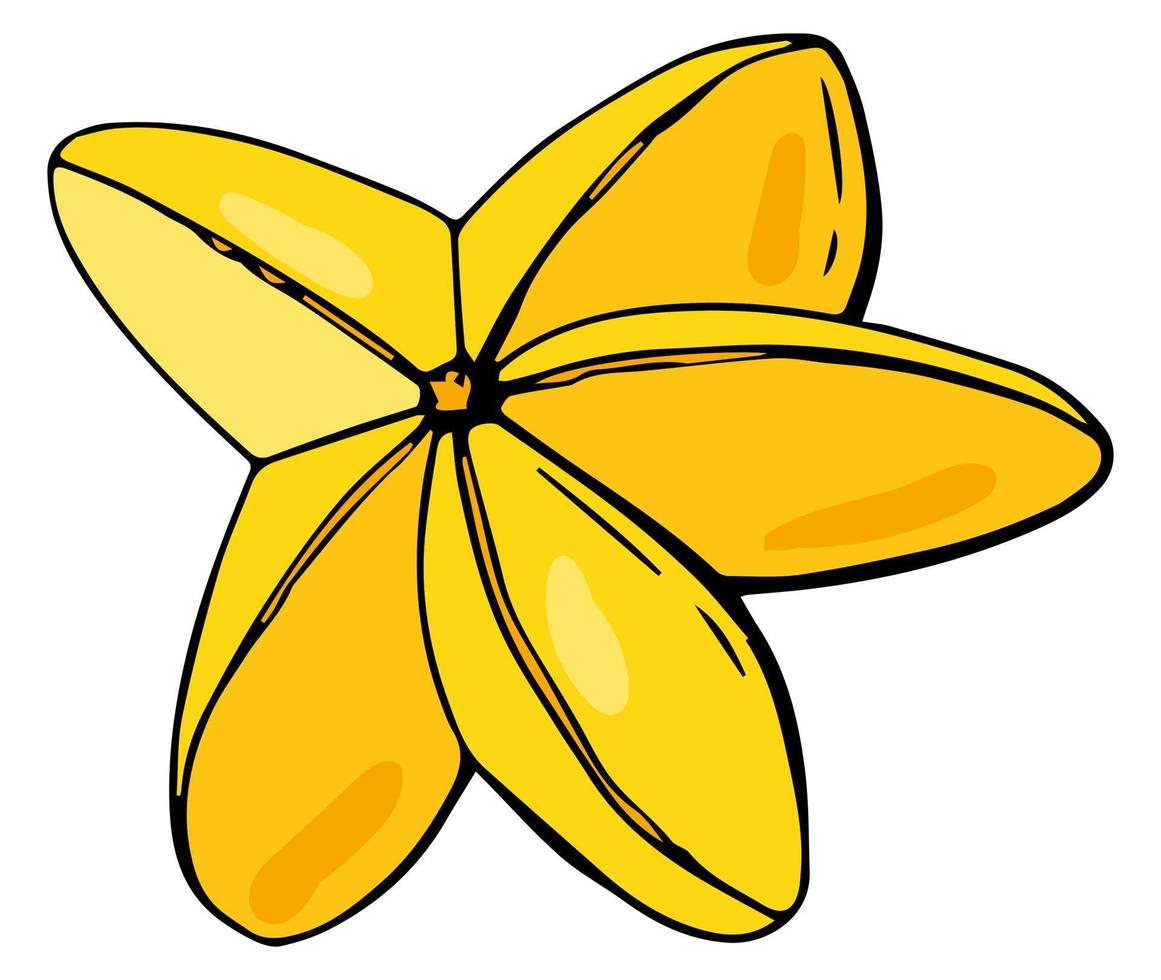 Carambola fruit. White background, isolate. Vector illustration. Organic food, healthy nutrition, vegetarian product.