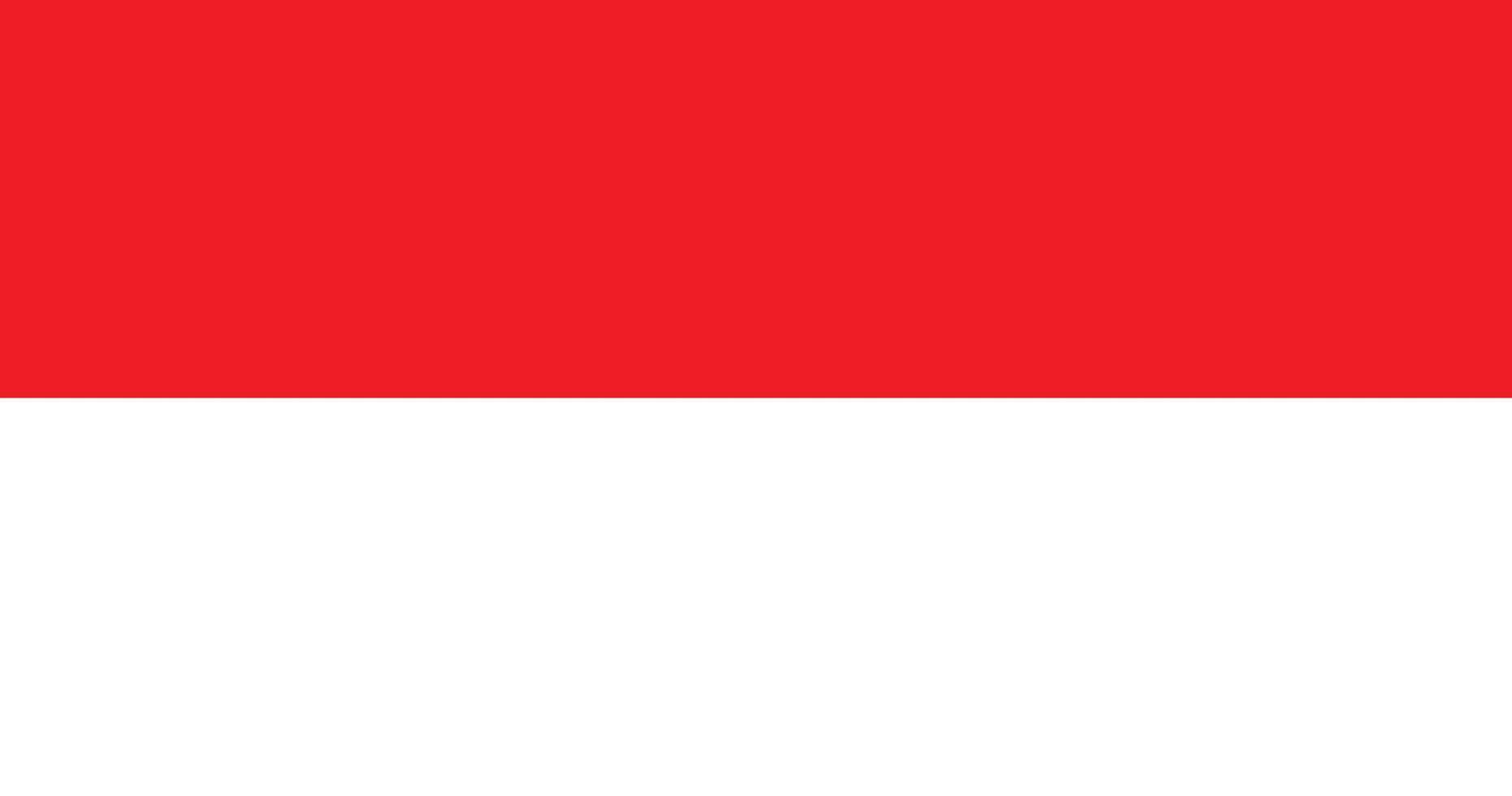 Indonesia flag with original RGB color vector illustration design