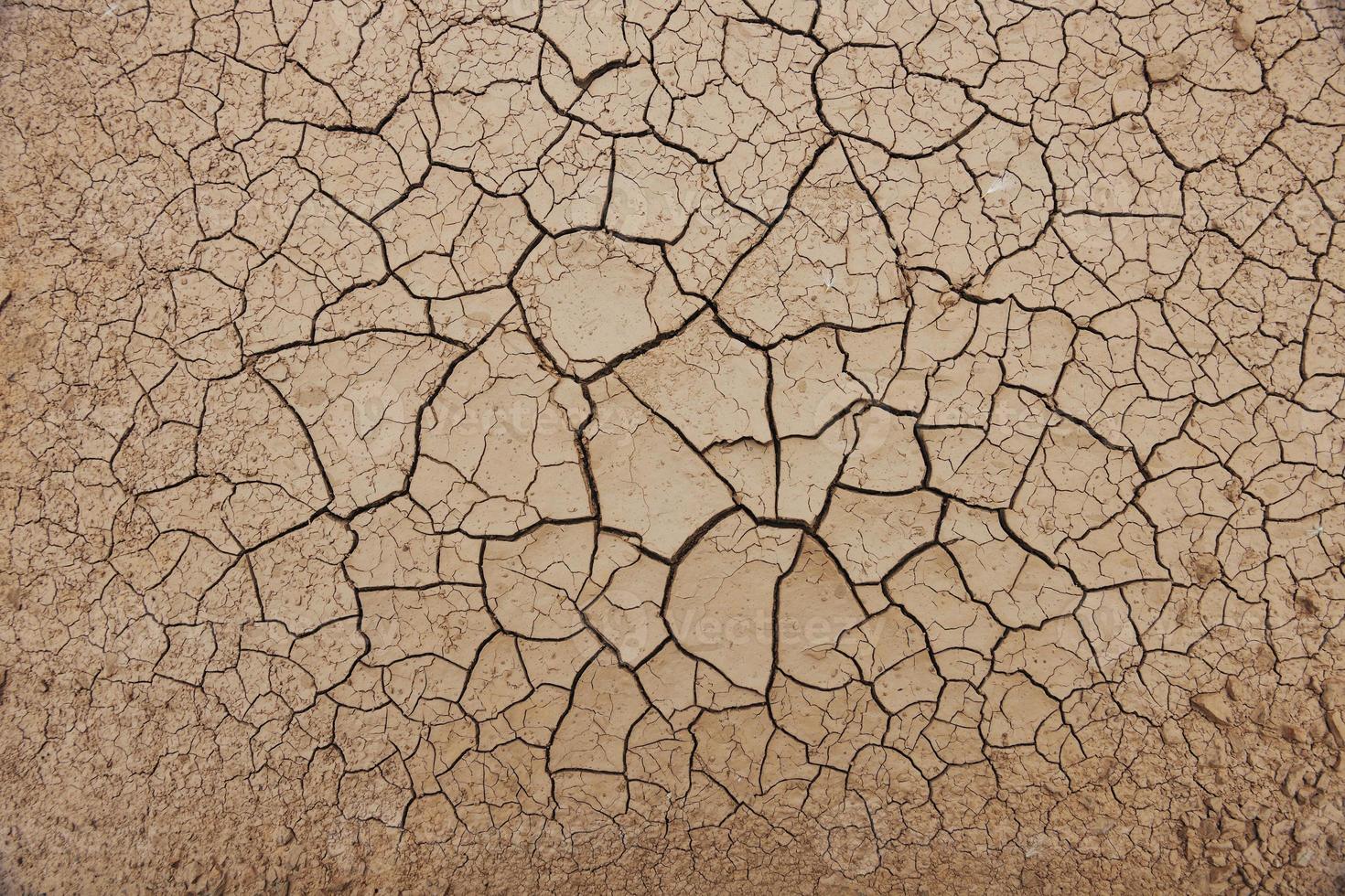 Dry ground background photo