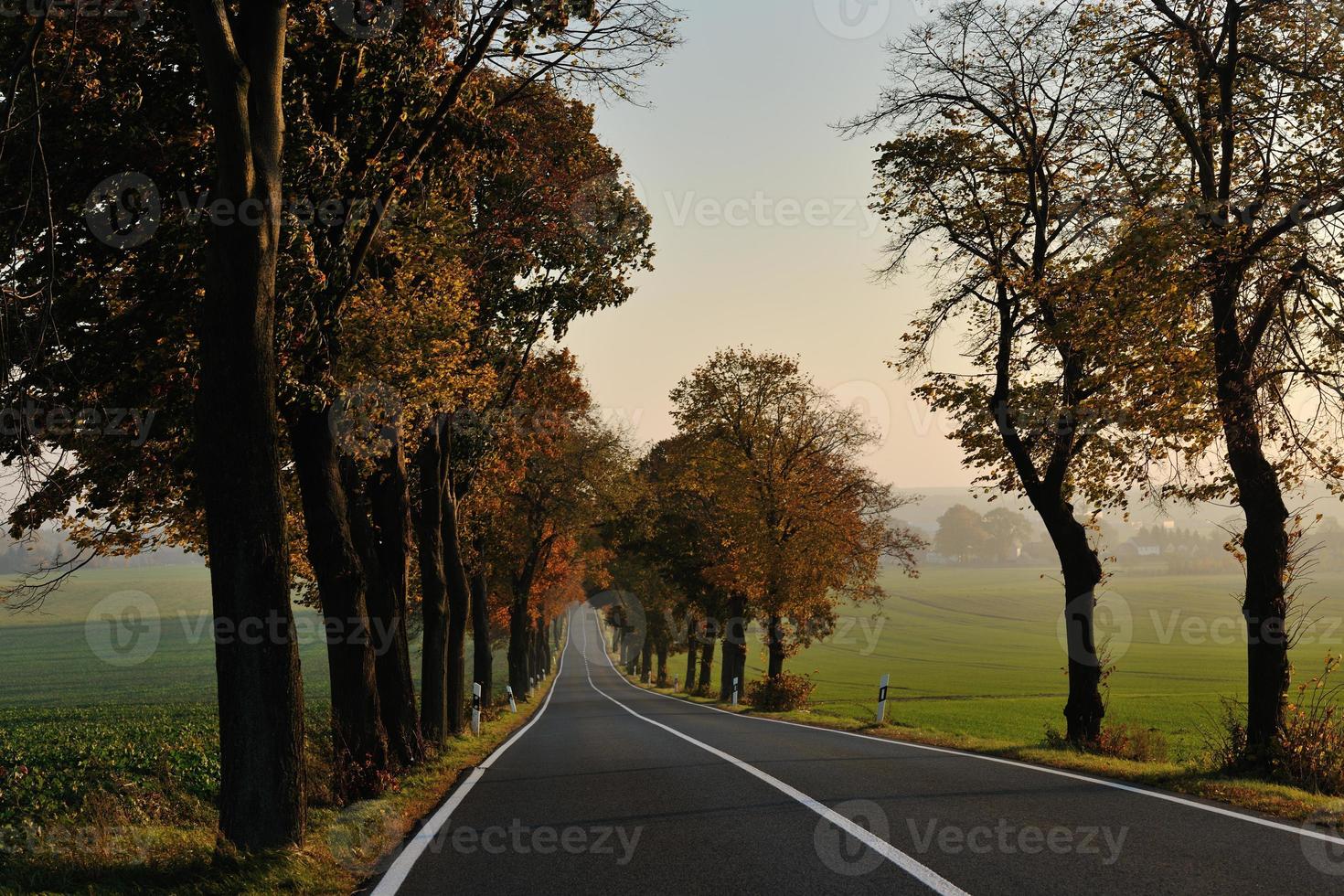 country road view photo