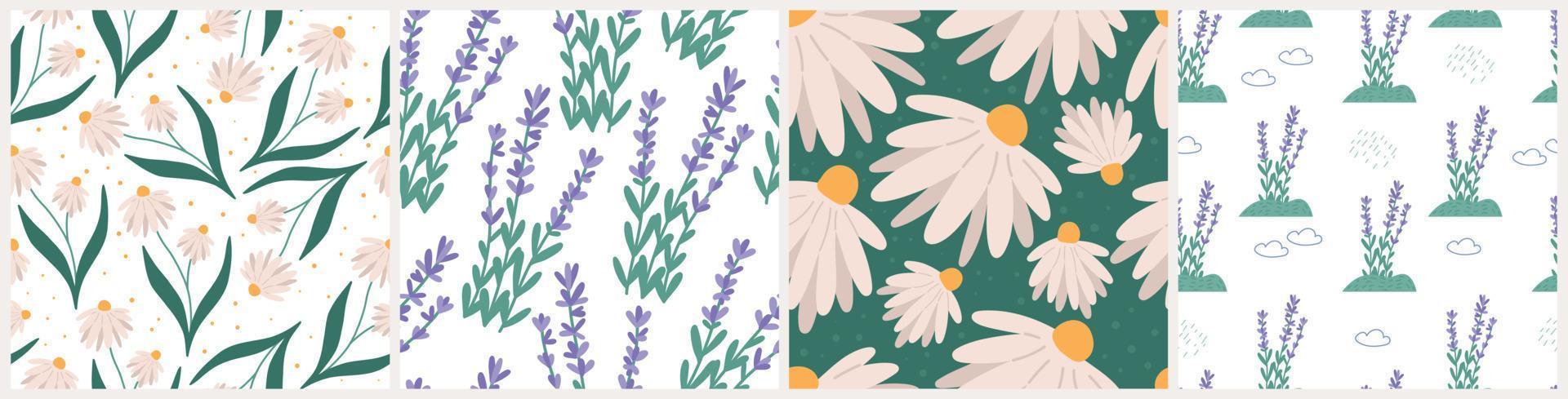 conjunto de patrones sin fisuras de primavera o verano botánico, ilustración de vector plano. patrón infantil de manzanilla y lavanda, ideal para envolver papel o ropa para niños. campo floral o prado.