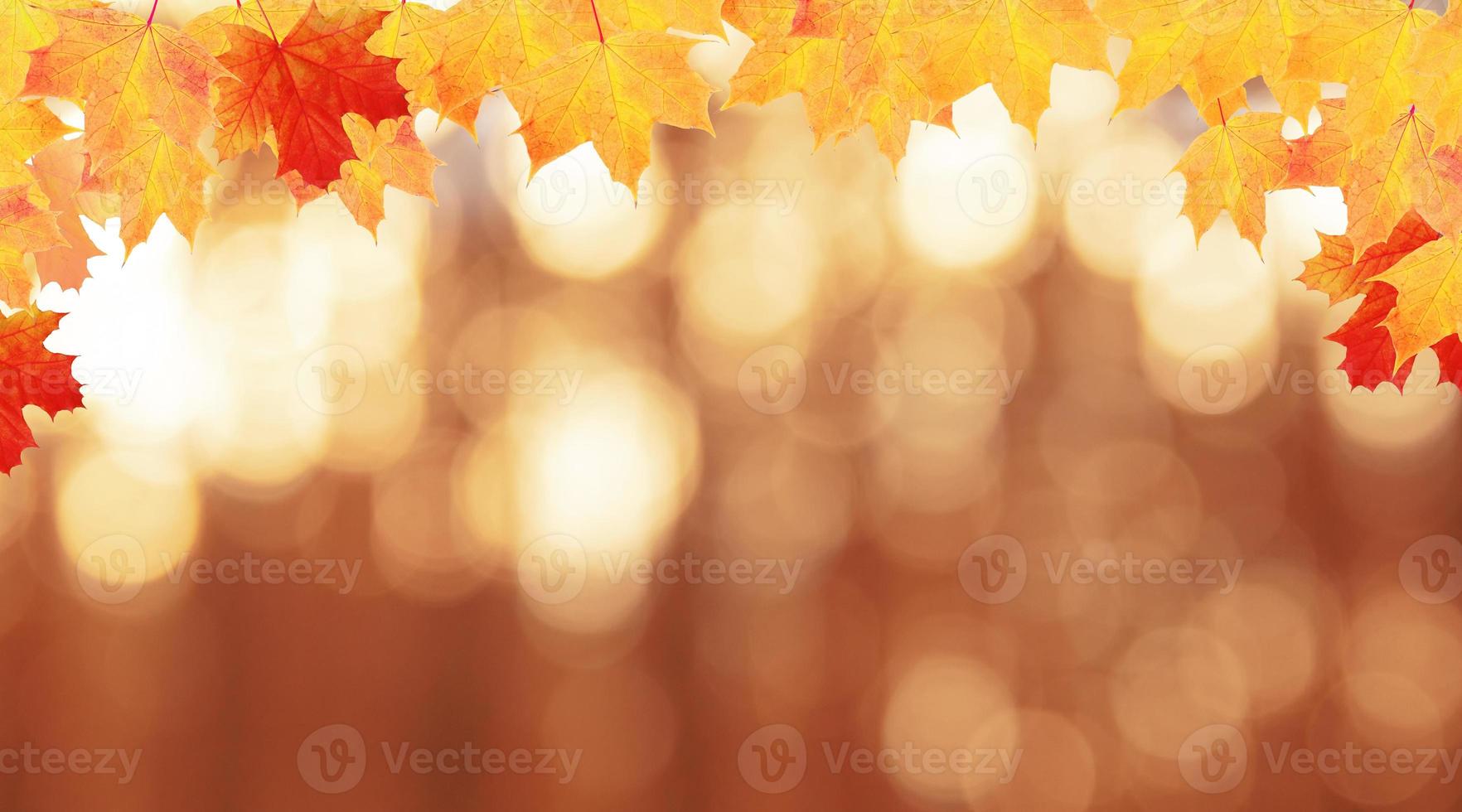Red-orange maple leaves frame of autumn nature background with bokeh in the forest photo
