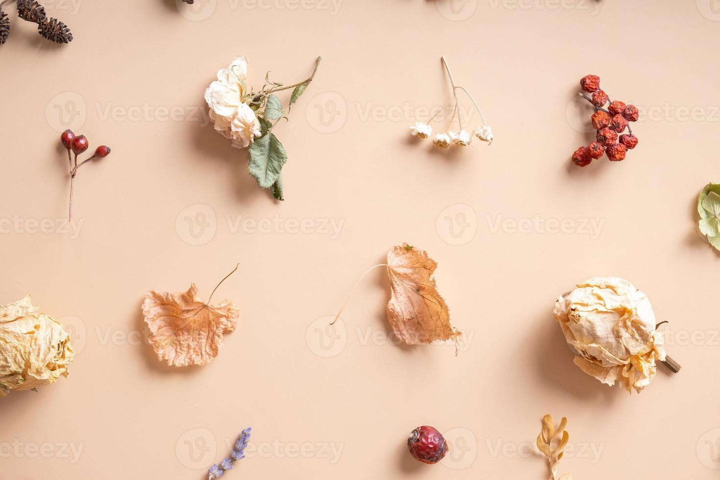 Autumn composition. Pattern made of dried leaves and flowers on pastel beige background. Autumn, fall concept. Flat lay, top view photo