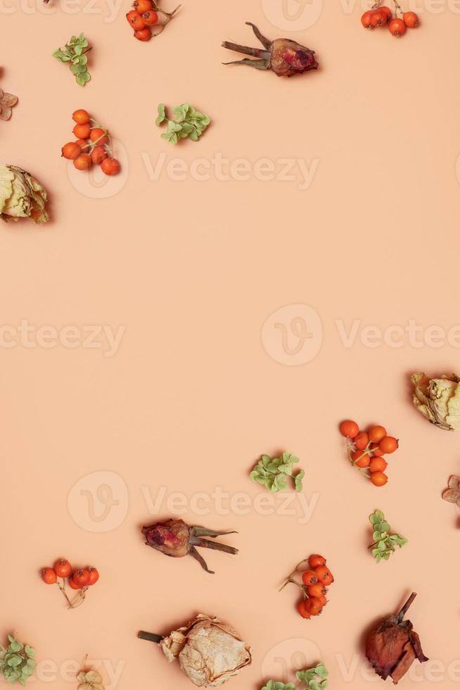 Autumn pattern with dry hydrangea flowers, rowan, roses on orange colored background. Top view, flat lay, copy space photo