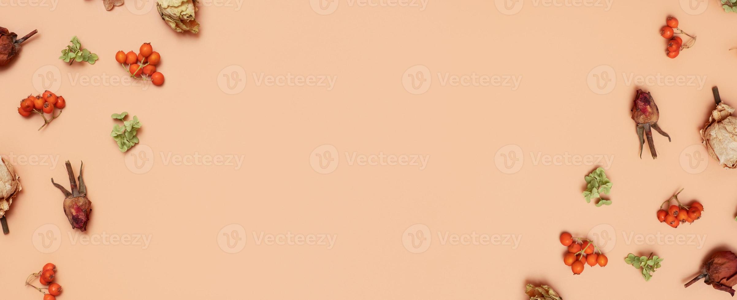 Autumn pattern with dry hydrangea flowers, rowan, roses on orange colored background. Top view, flat lay, copy space photo