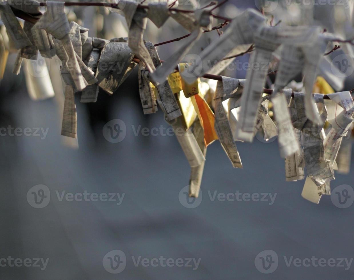 Paper horoscopes tied to a tree in Japan photo