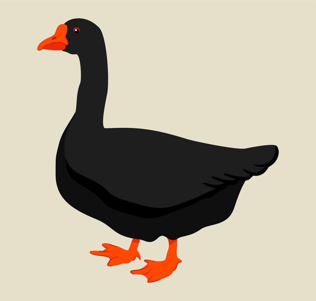 ilustración vectorial de ganso negro sobre fondo claro. vector