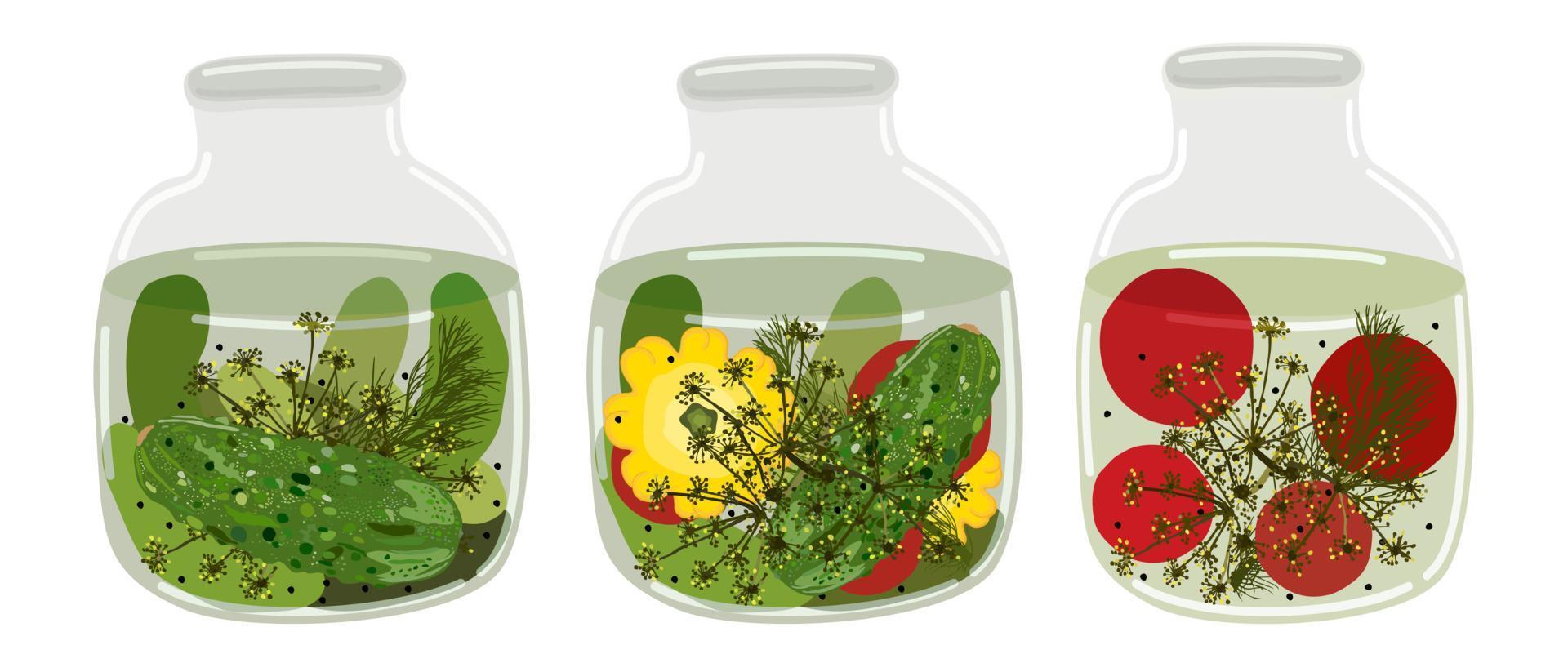 conjunto vectorial de tres frascos con verduras en escabeche, pepinos, tomates y pattisons con eneldo y granos de pimienta vector