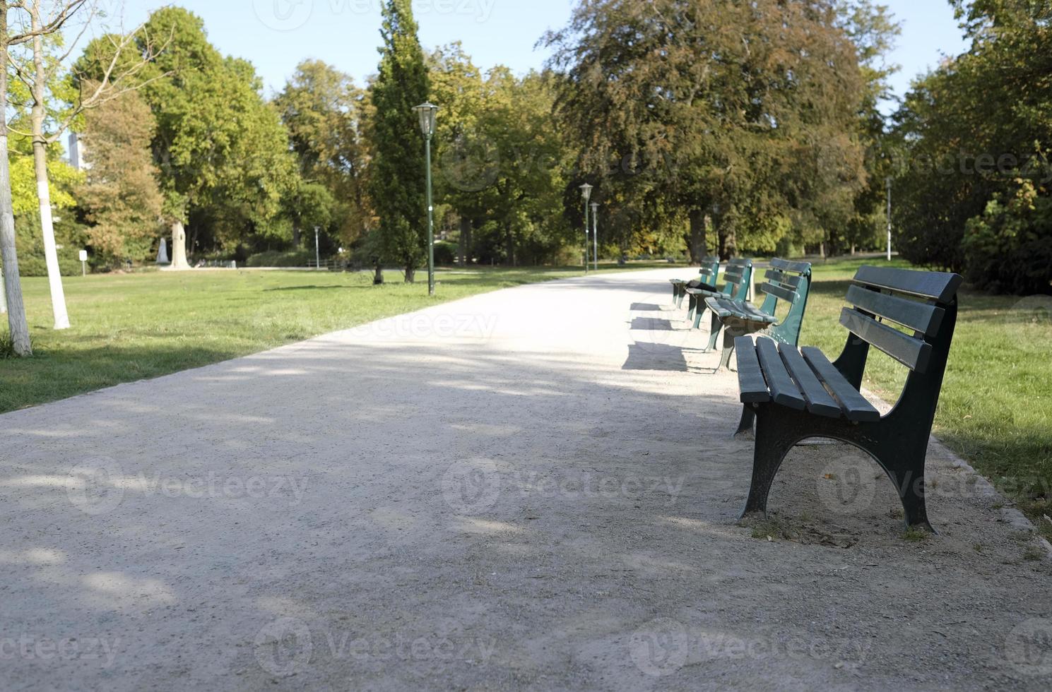 Empty park benches in Dusseldorf on a sunny day photo