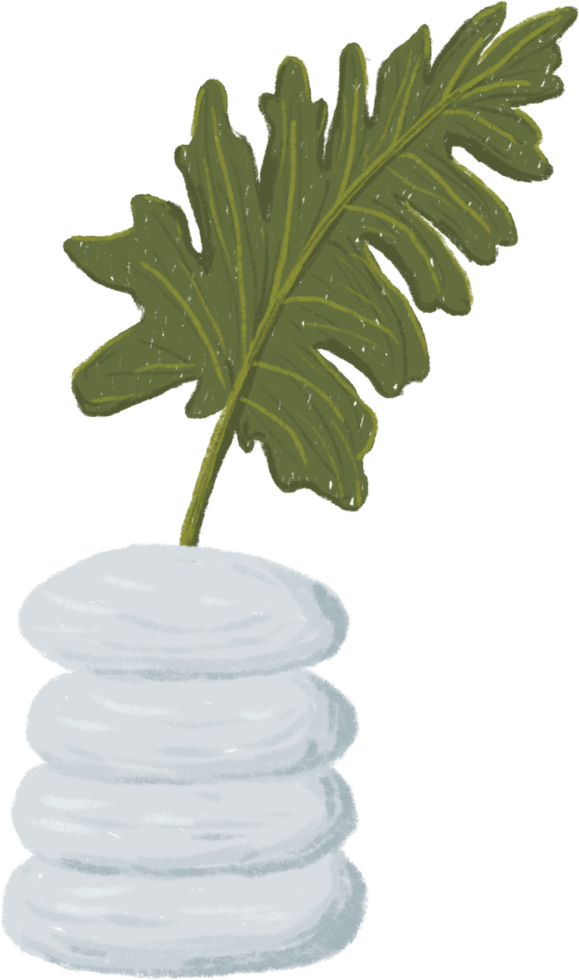 Potted plants bundle, house plants. png