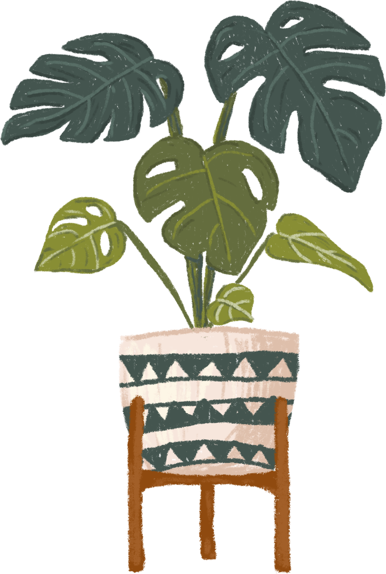 Potted plants bundle, house plants. 11306353 PNG