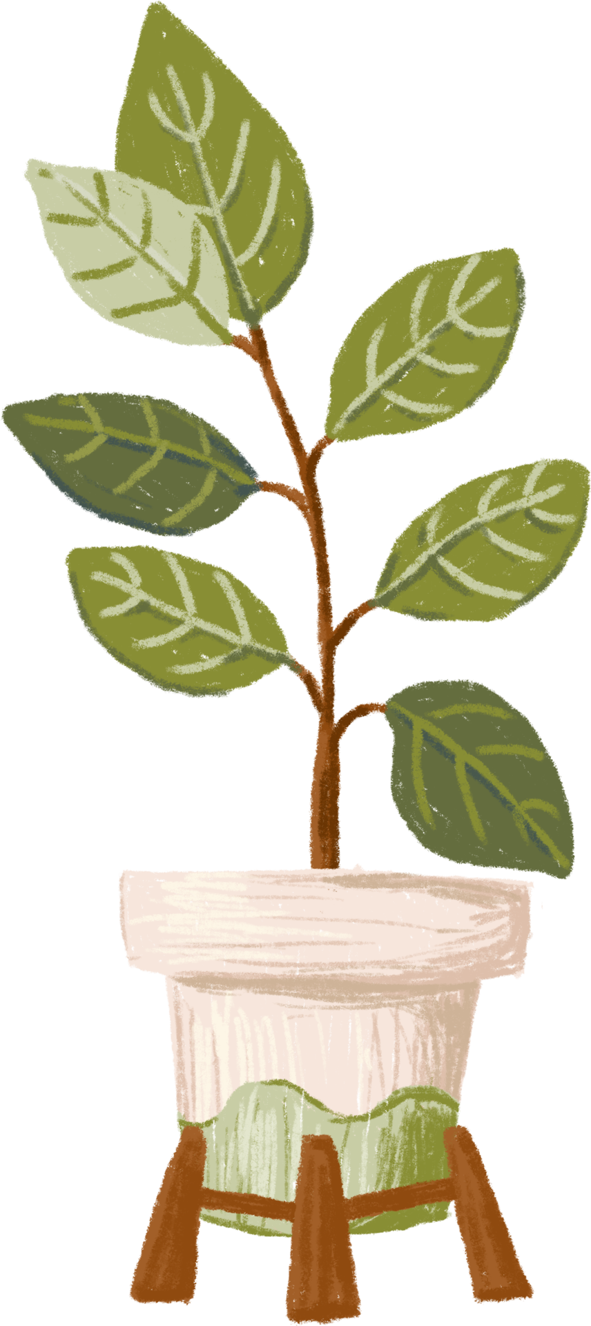 Potted plants bundle, house plants. 11306359 PNG