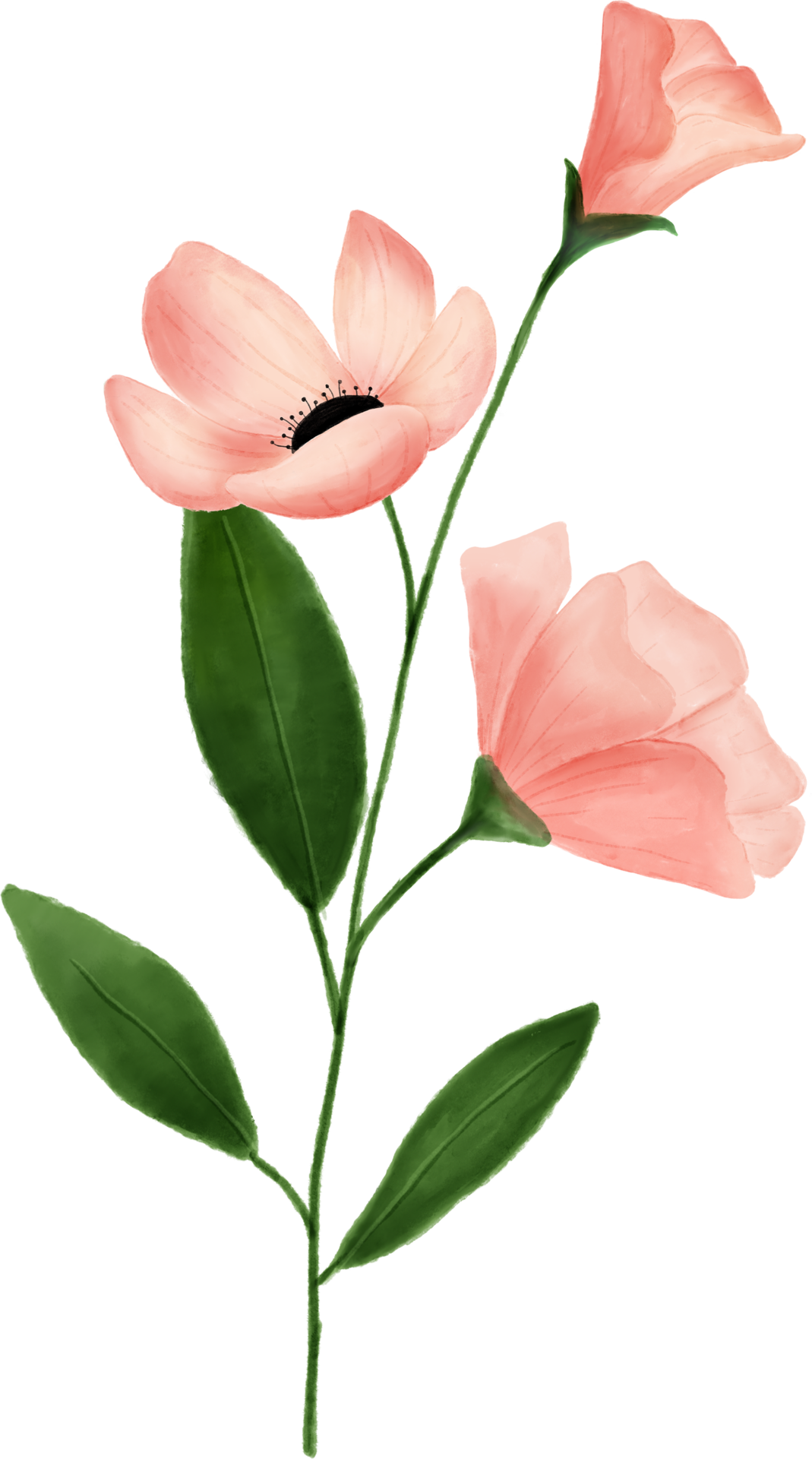 Pink flower leaves floral watercolor for decoration 11306361 PNG