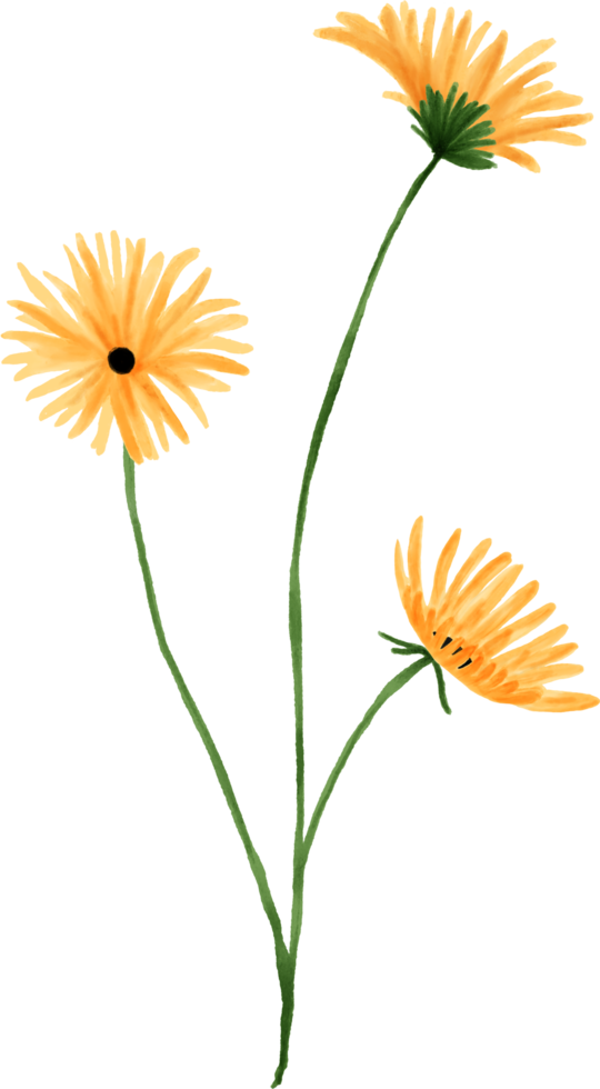 geel bloem bloemen waterverf voor decoratie png