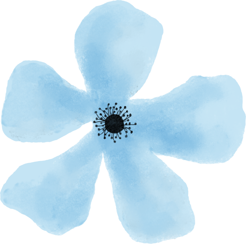 Blue flower floral watercolor for decoration png