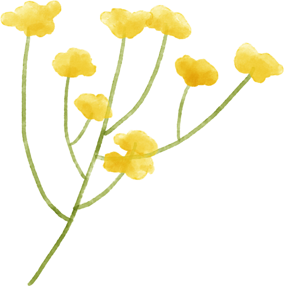 flor amarela floral aquarela para decoração png