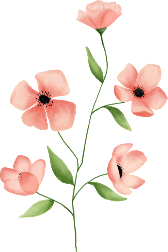rosa blomma löv blommig vattenfärg för dekoration png