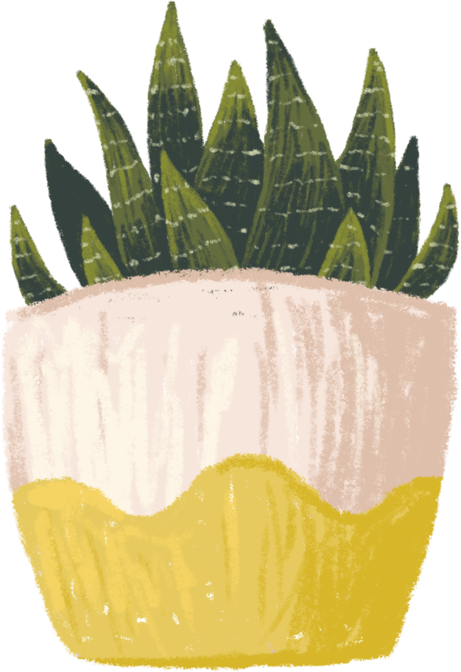 Potted plants bundle, house plants. png