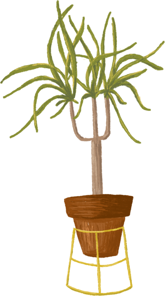 Potted plants bundle, house plants. png