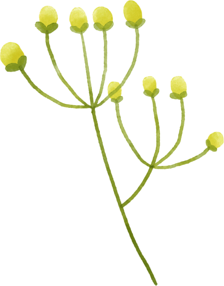 Yellow flower floral watercolor for decoration png