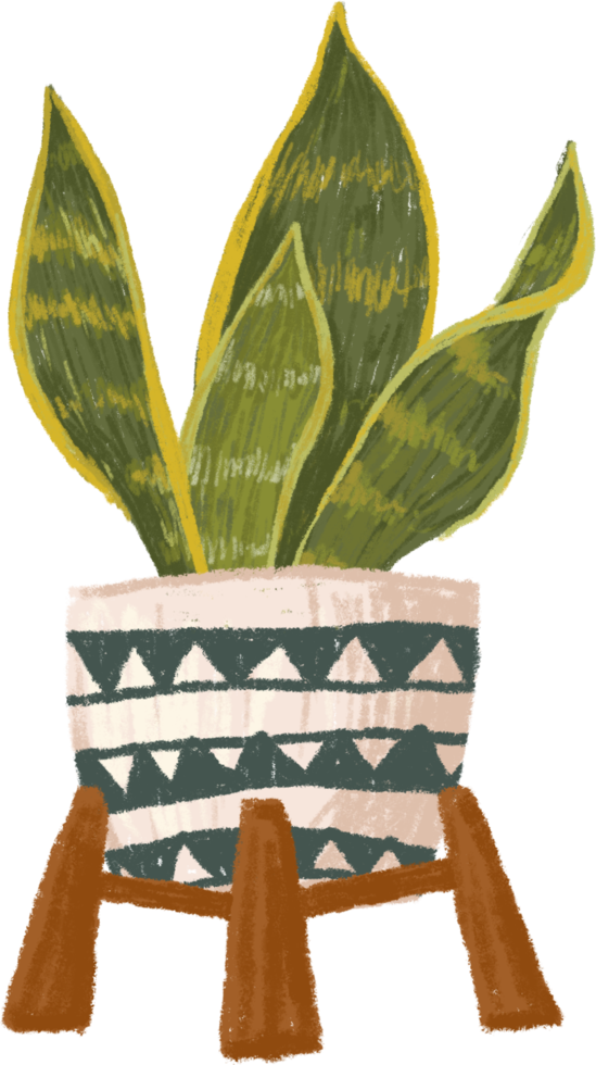 Potted plants bundle, house plants. png