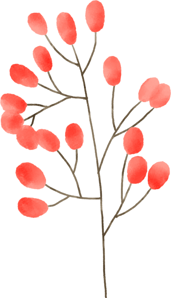 rosso fiore floreale acquerello per decorazione png