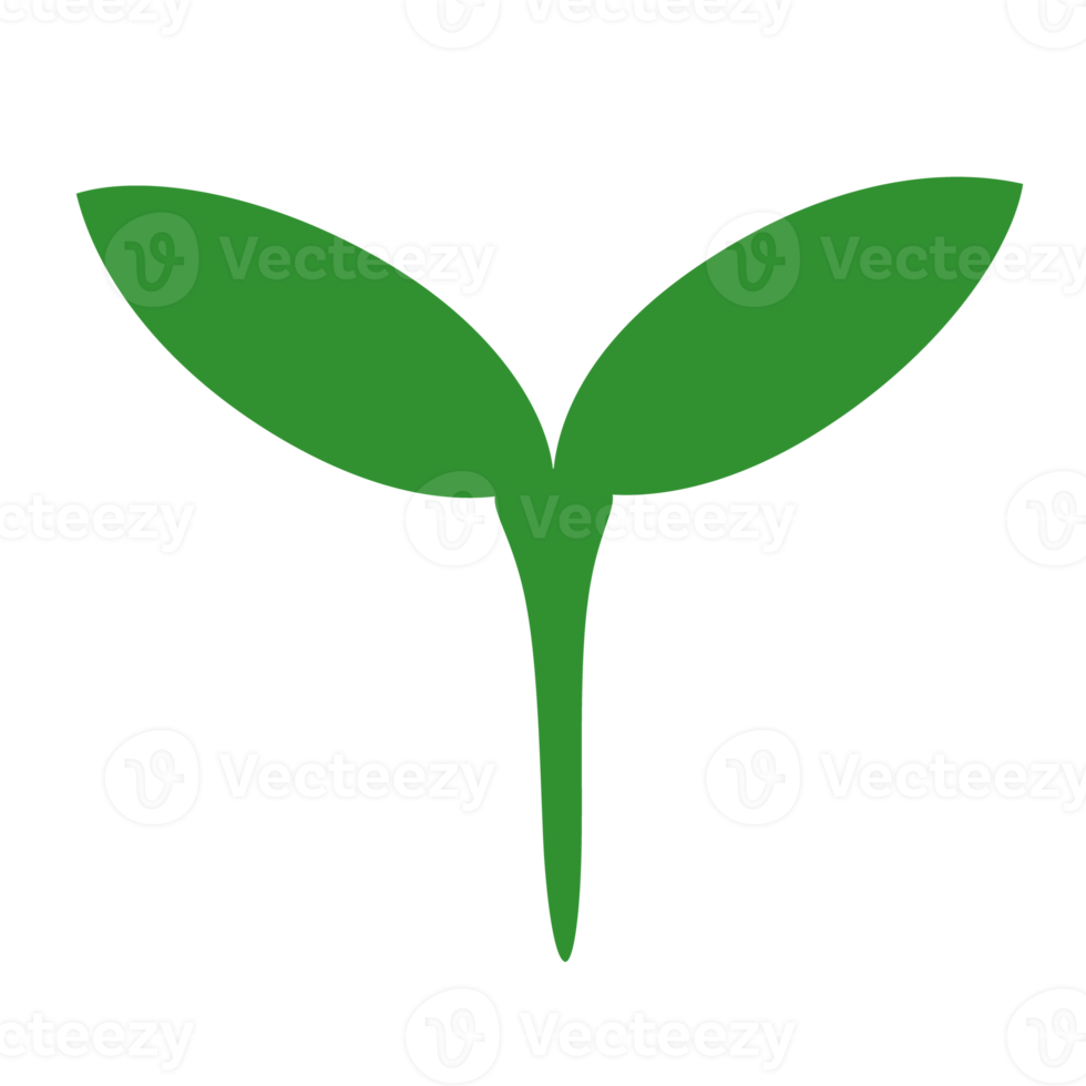 Small tree icon image 11307647 PNG