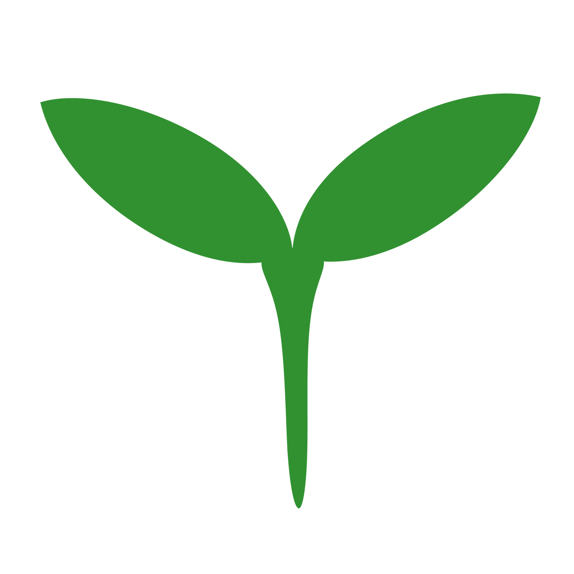 Small tree icon image 11307647 PNG