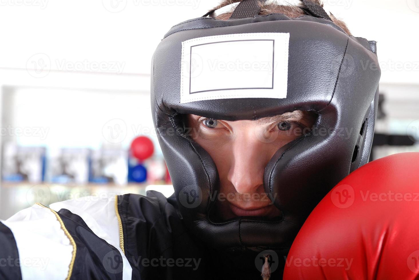 .boxer face closeup photo