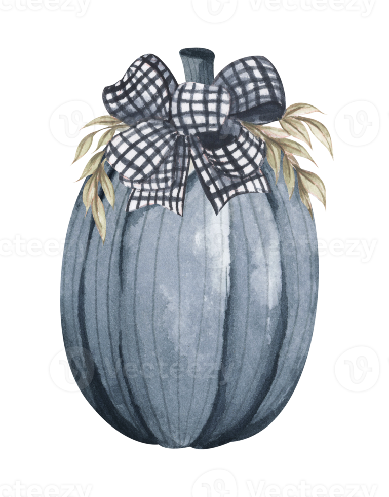 Black and white pumpkin. Thanksgiving decor. Watercolor illustration. png