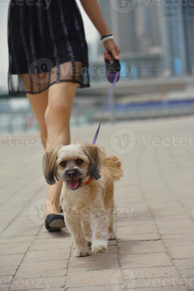 happy young woman with puppy have fun photo