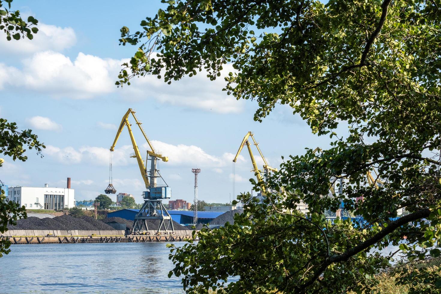 View of the commercial port with cargo cranes. photo