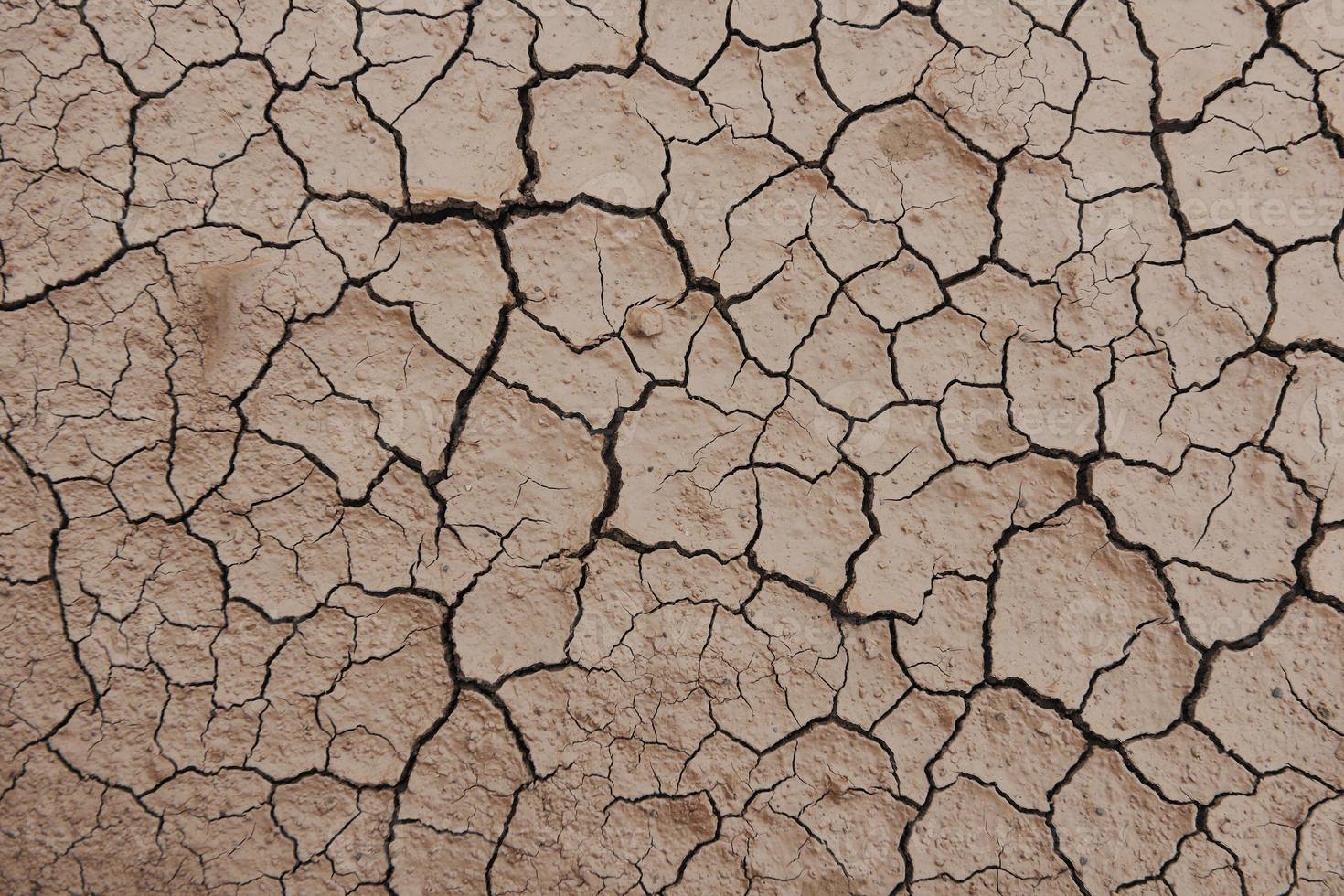 fondo de tierra seca foto