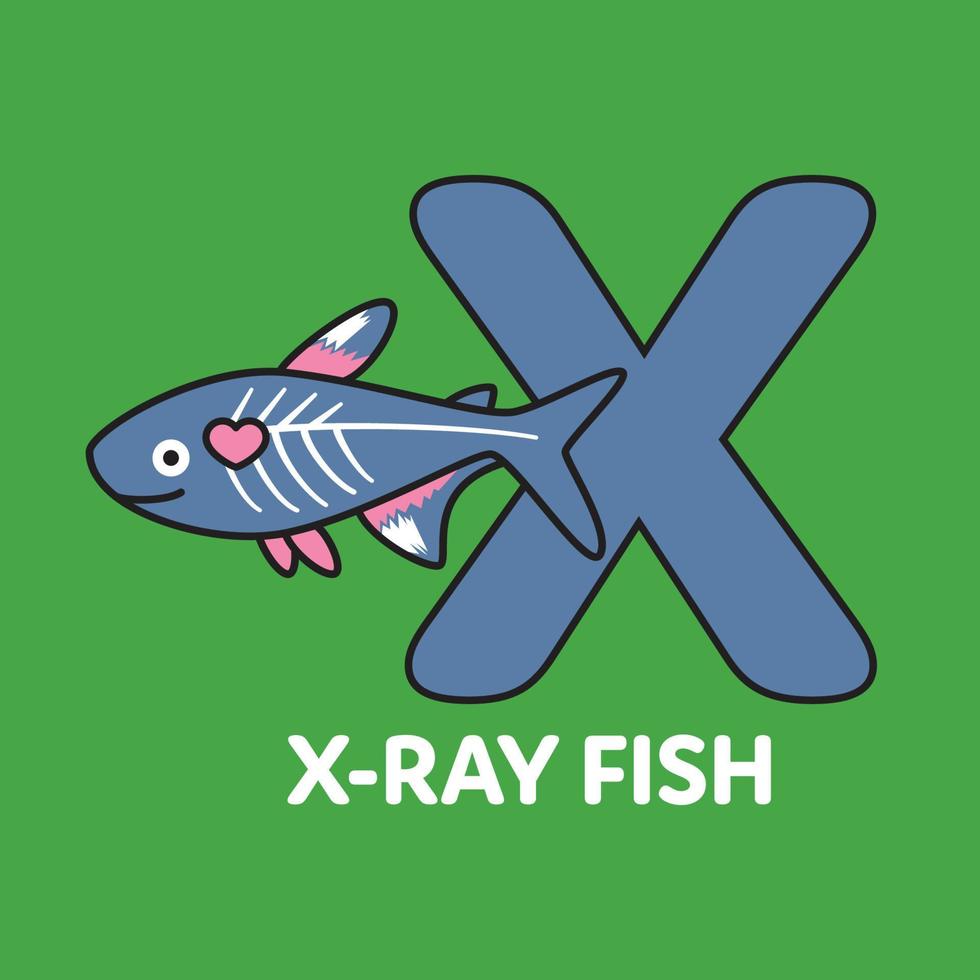 X Xray Fish vector