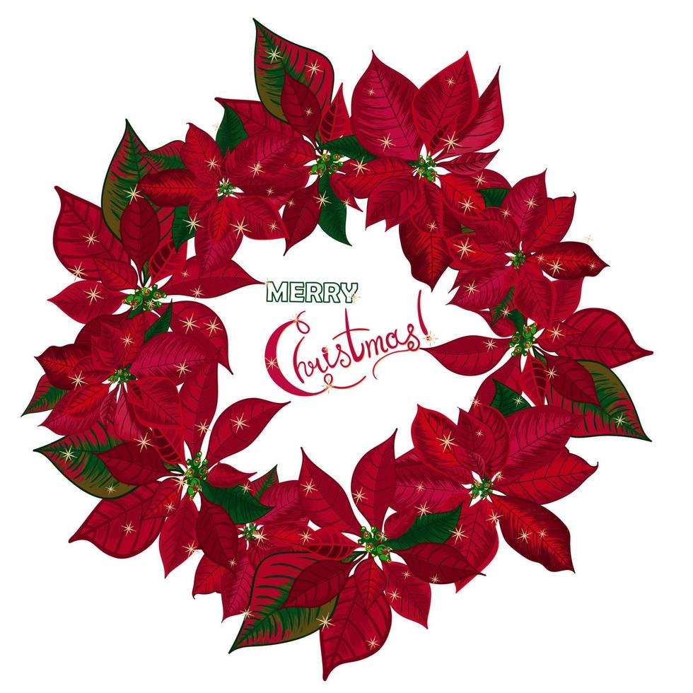 Vintage Christmas wreath with red poinsettia isolated on white background vector