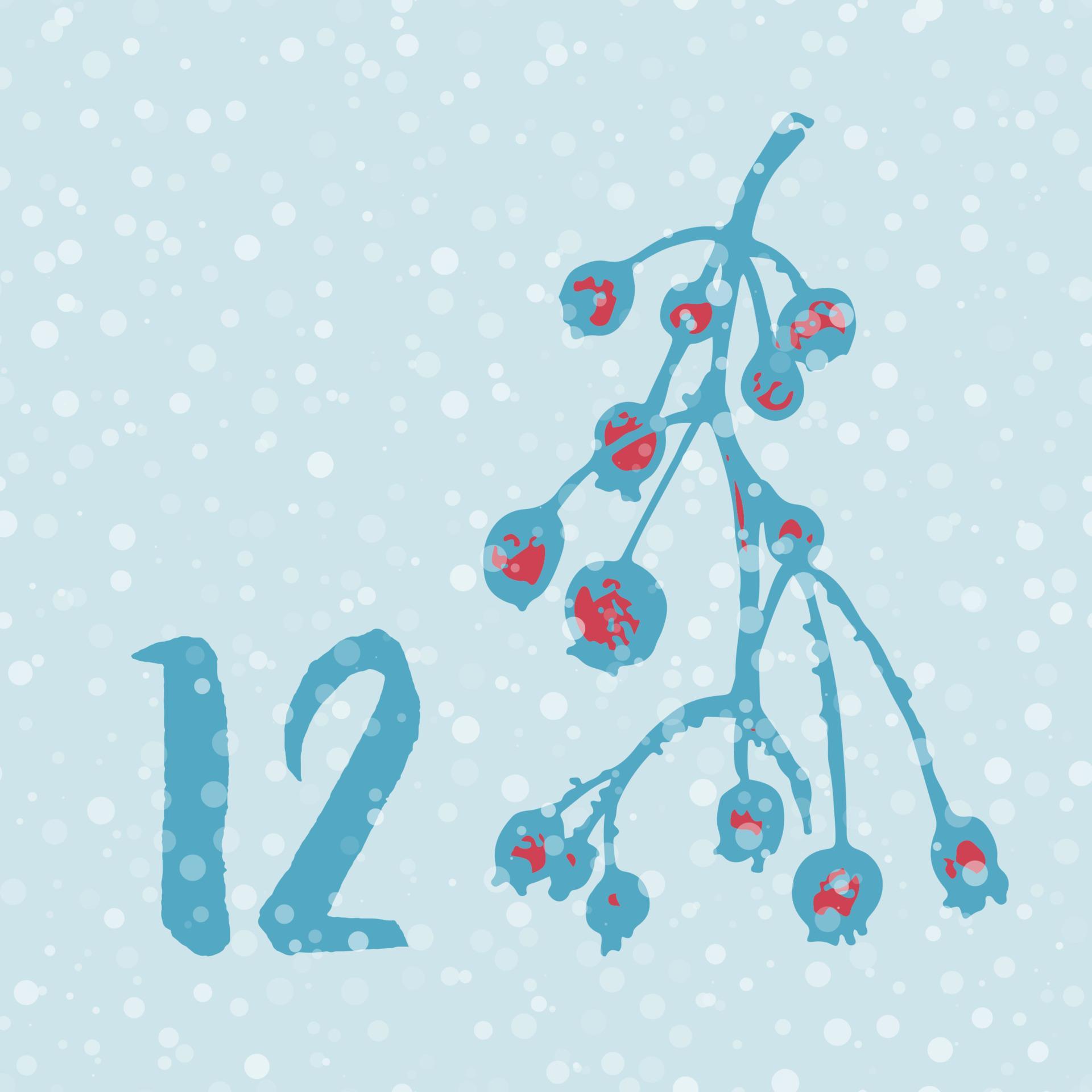 Page Advent Calendar 25 days of Christmas with space for text. 11312720 Vector Art at Vecteezy