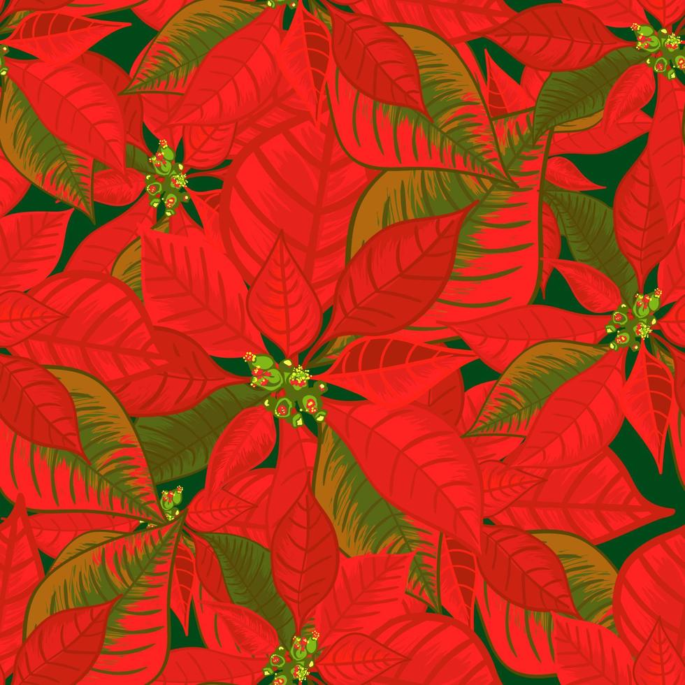 Seamless pattern with poinsettia. Christmas flower bouquet ornament in red color vector