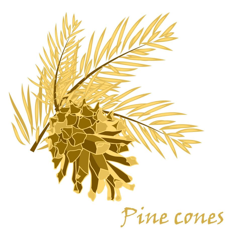 Fir tree branches with pine cone in golden color vector