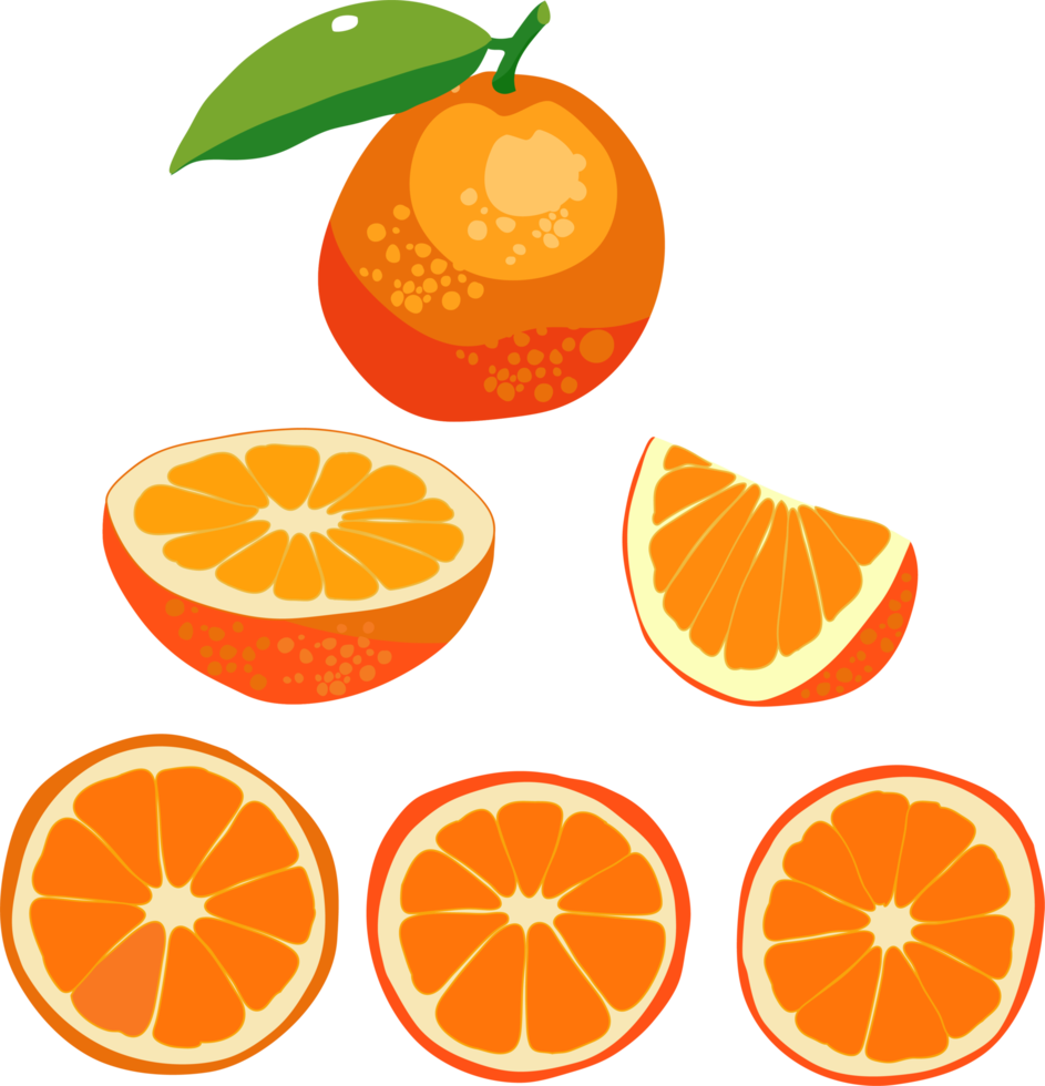 set fruit orange png