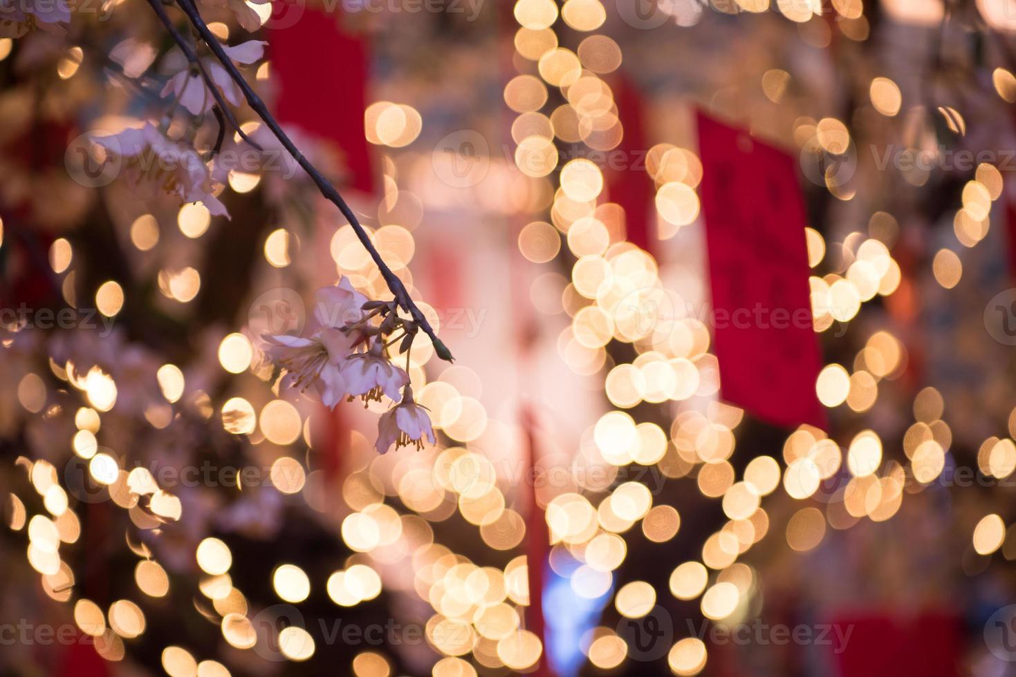 traditional Japanese wishing tree photo