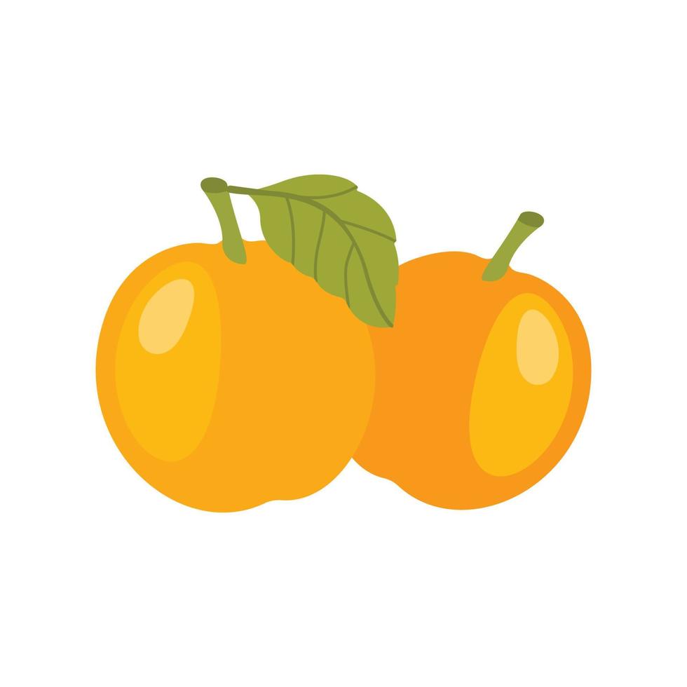 Apricots, fresh and healthy. For web design, a fresh apricot eco vector flat illustration.