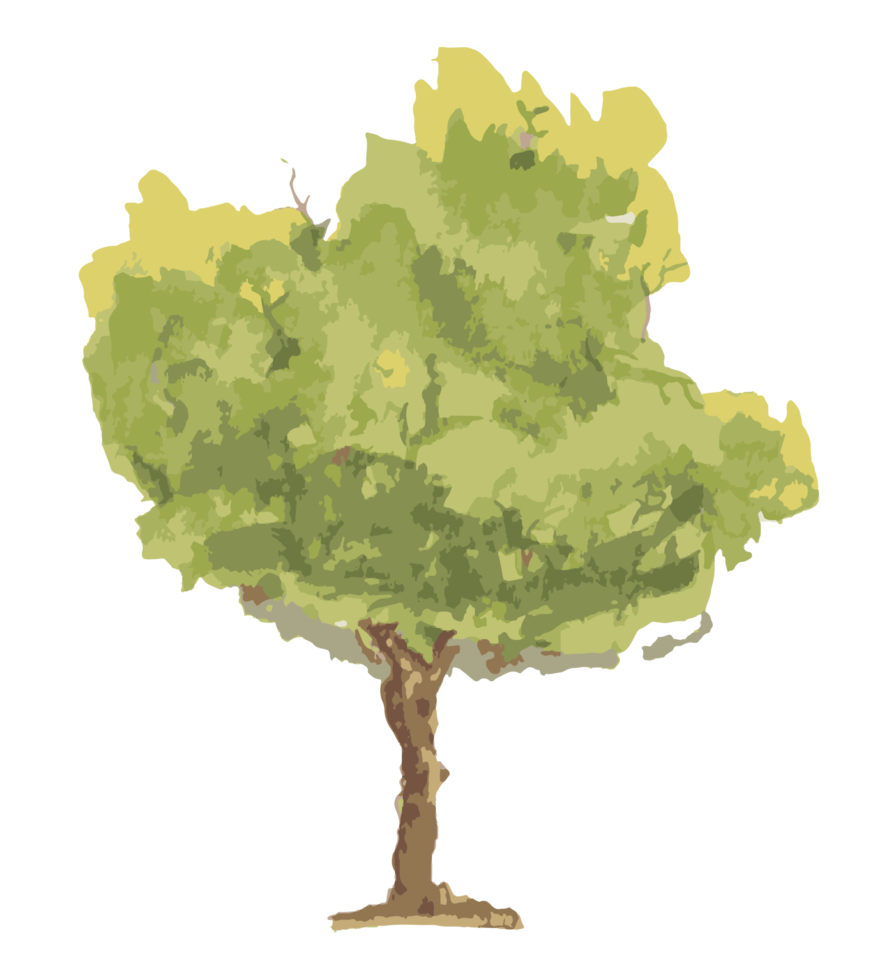 árbol acuarela ilustración png