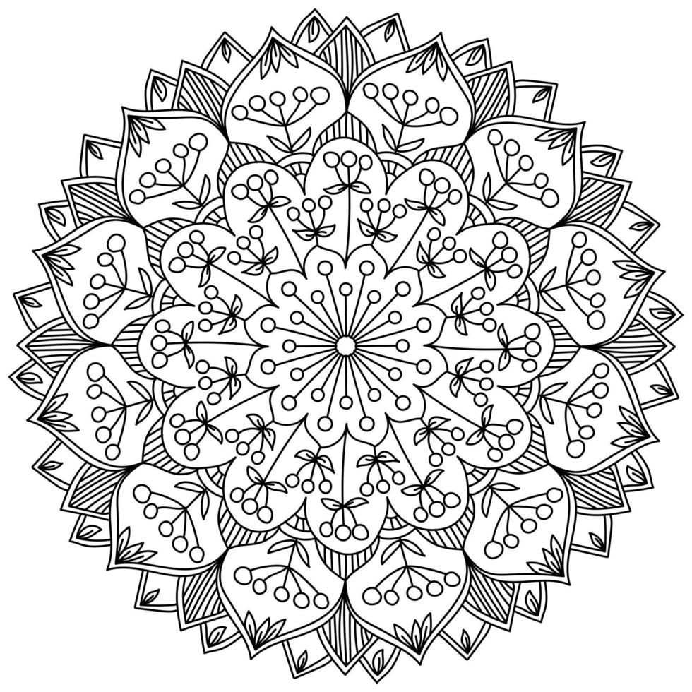 Ornate mandala with bunches of berries and leaves in fantasy petals, coloring page in the form of a circle with plant motifs vector