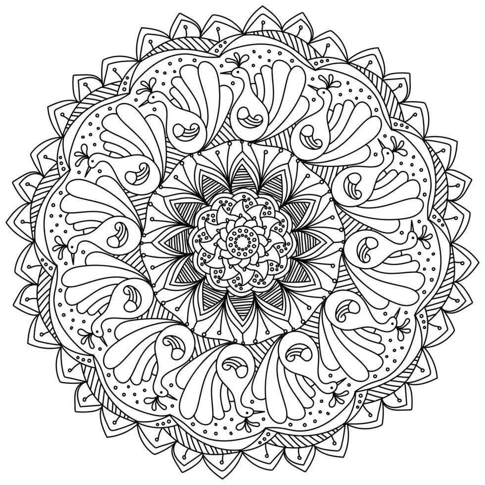 Contour mandala with doodle peacocks and curls, coloring page in the shape of a circle with many ornate petals vector