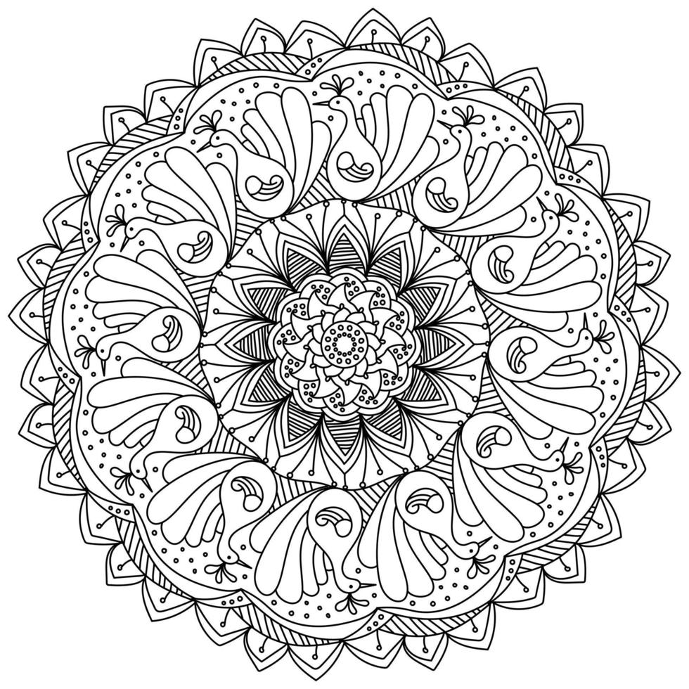 Contour mandala with doodle peacocks and curls, coloring page in the shape of a circle with many ornate petals vector