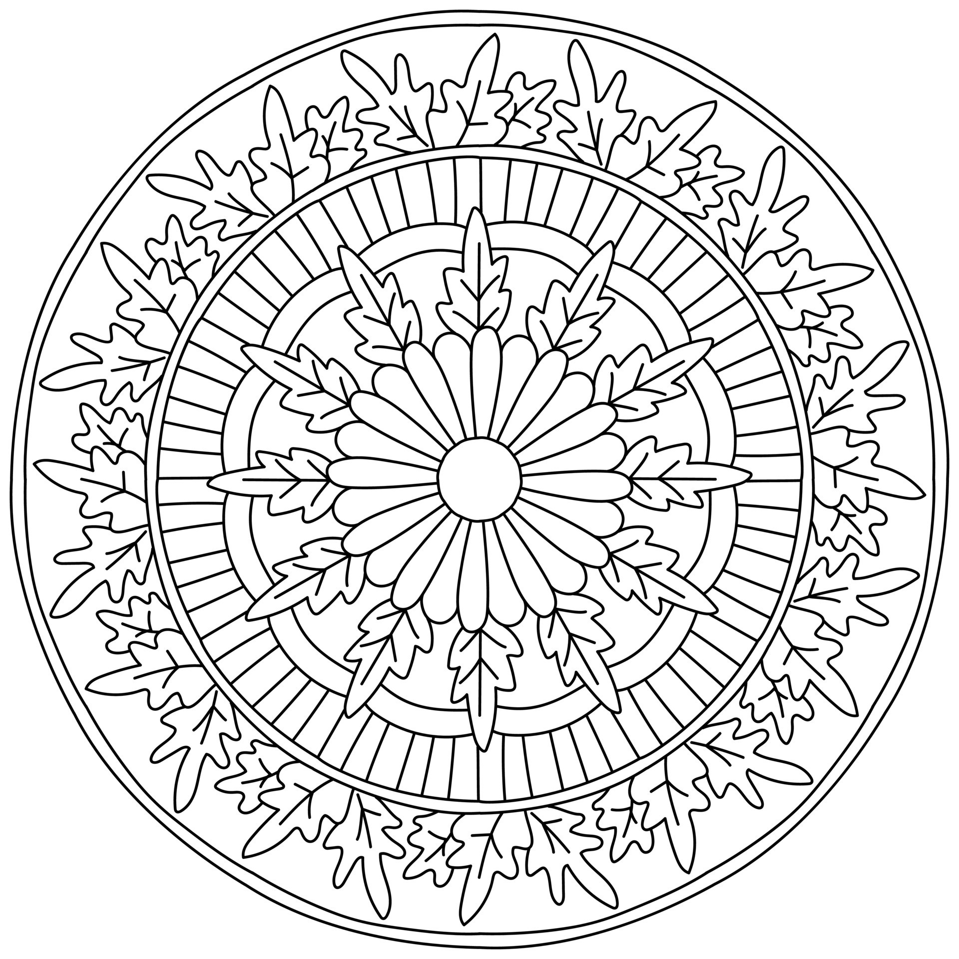 Linear mandala with carved leaves and multi-petaled flower in the center,  coloring page with plant elements 11317547 Vector Art at Vecteezy