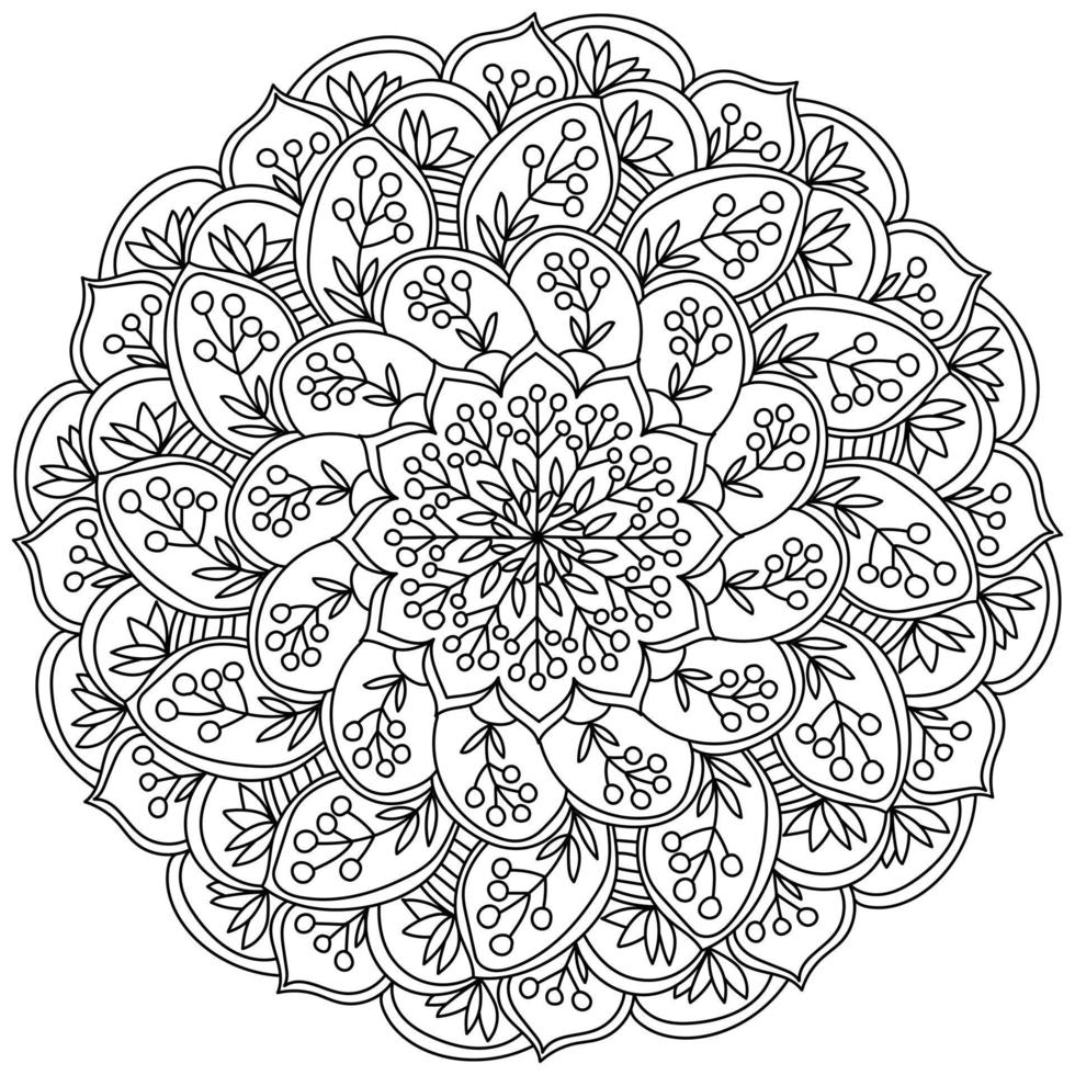 Contour mandala with bunches and twigs of berries, coloring page in the form of a circle with plant motifs vector