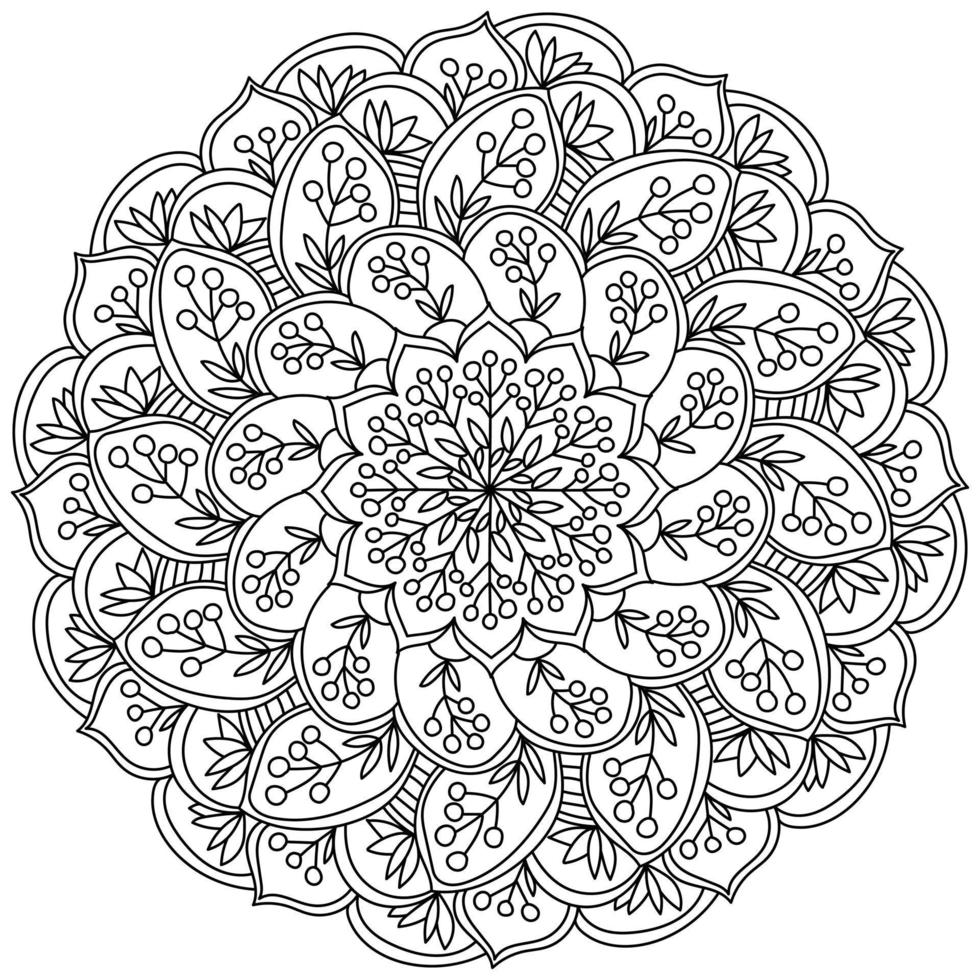 mandala de contorno con racimos y ramitas de bayas, página para colorear en forma de círculo con motivos vegetales vector