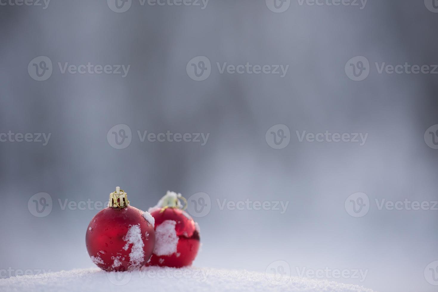 christmas ball in snow photo